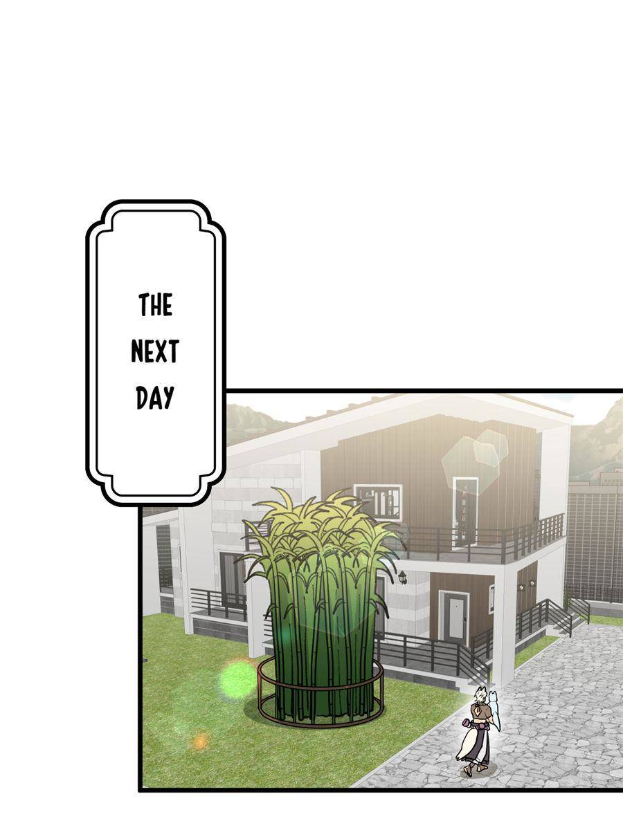 82662629 900 1200 91339